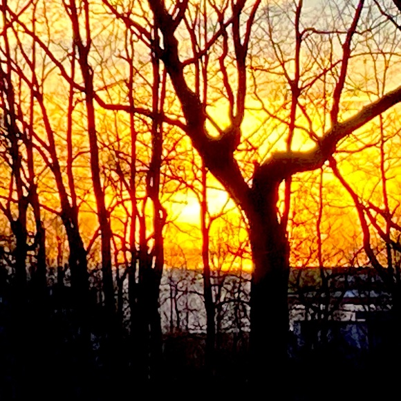 Meet your Posher, KC - Picture 4 of 8